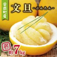 訳あり 文旦 7kg 8000円 ぶんたん みかん mikan 蜜柑 ミカン わけあり 家庭用 産地直送 国産 農家直送 糖度 期間限定 数量限定 特産品 ゼリー ジュース アイス 人気 限定 甘い 果実 果肉 フルーツ 果物 柑橘 ビタミン 健康 美味しい おいしい ジューシー 小玉 含む サイズ ミックス 規格外 傷み補償 500g ミッチーのおみかん畑 愛南町 愛媛県