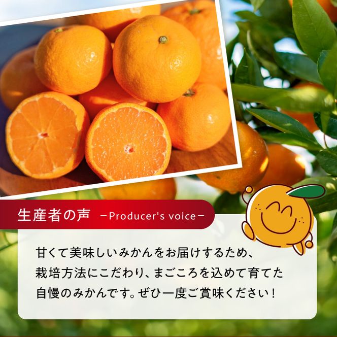 【2026年先行予約】【訳あり ご家庭用】和歌山県産 有田みかん 10kg＋2kg保証分 サイズ混合_EH6100