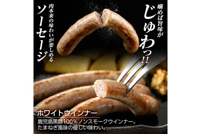 a623 鹿児島黒豚「短鼻豚」無添加ホワイトウィンナー500g(100g×5パック)【鹿児島ますや】姶良市 国産 ウィンナー 無添加 ウインナー ソーセージ 冷凍 黒豚 ノンスモーク