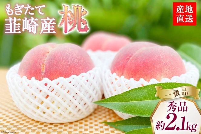 【2025年発送】【秀品】朝獲れ もぎたて 桃 約2.1kg（4～6玉） [韮崎市桃農家の産直 山梨県 韮崎市 20742793] もも 桃 モモ フルーツ 果物 山梨県産 産地直送 期間限定 季節限定 冷蔵