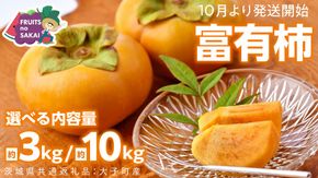 ＼ 選べる内容量 ／ 富有柿 Lまたは2L 約3kg or 2L以上 約10kg 【10月より発送開始】（茨城県共通返礼品 [柿]：大子町産） | 柿  かき 旬 お取り寄せ フルーツ 甘い 秋の味覚