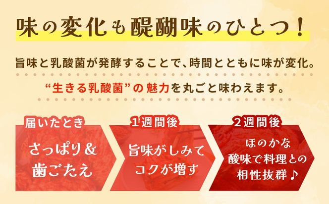 G3998 【定期便】韓国人が作る！無添加・砂糖不使用のキムチセット500g+おまけ季節のキムチ100g 全3回【本場 韓国 きむち 人気 無添加 韓国料理 惣菜】