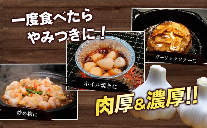 生にんにく（新物）約10kg 野菜 野菜セット ニンニク 