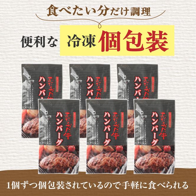 【定期便／年6回／偶数月お届け】むなかた牛ハンバーグ6個セット6回定期便【道の駅むなかた】_HB0038