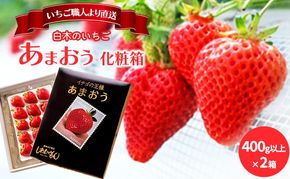いちご 1月配送 しあわせもん あまおう 化粧箱 2箱 いちご職人 白木のいちご イチゴ 苺 果物 デザート ※配送不可：沖縄・離島