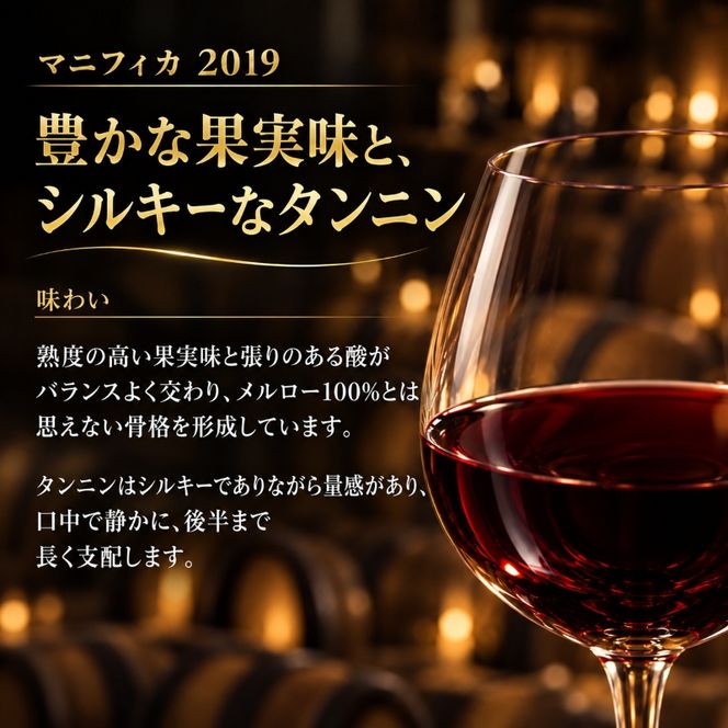 ワイン 信州ワイン 赤 千曲川 マスカット・ベーリーA 750ml 1本 赤ワイン マンズワイン 酒 お酒 洋酒 果実酒 ぶどう酒 長野 長野県小諸市