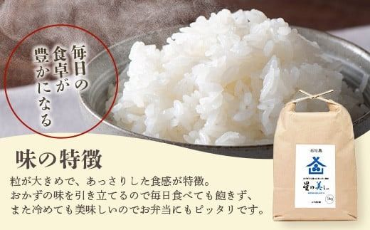 石垣島産 星の美(かい)しゃ 10kg みやぎ米屋 【 日本一早い新米の産地 米 お米 産地直送 旬 ほしじるし 沖縄県 石垣市 】MK-4