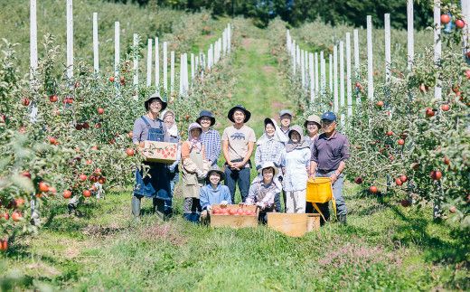 果汁100%！宇津宮果樹園の林檎屋果汁りんごジュース30缶セット 【サンふじ】 【635-1】