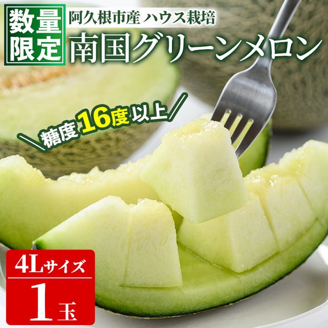 ＜先行予約受付中！2027年6月中旬以降順次発送予定＞ 数量限定！鹿児島県産南国グリーンメロン(4Lサイズ×1個) メロン フルーツ デザート 果物 鹿児島 国産 阿久根市産 青肉 ハウス ハウス栽培 期間限定 【東新グリーンファーム合同会社】akn062-14