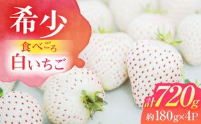 【希少】 朝摘み 愛知県産 白いちご （White Fairy） 約180g×4パック 粒サイズランダム いちご 白イチゴ 国産 愛西市/くぼ苺農園[AECJ005]