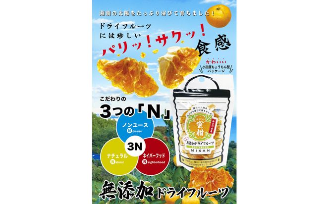 無添加ドライフルーツ(キウイ)16g×2袋入【 神奈川県小田原市 】 142069_HU002