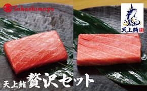 TTR0004 【高島屋選定品】天上鮪 贅沢セット 合計840g（大トロ/中トロ）【刺身 海鮮丼 鮪 まぐろ マグロ 小分け】