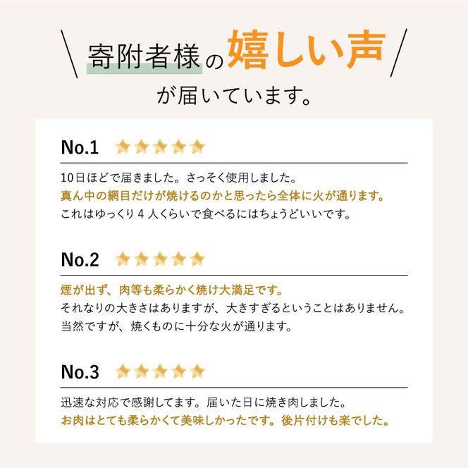 アラジン 訳あり 特別寄附額 グリーン 緑 グラファイトマジックグリラー Plus AMG-G1300A 過年度モデル Aladdin グラファイト マジックグリラー グリラー plus グラファイトグリラー ホットプレート 卓上プレート 調理家電