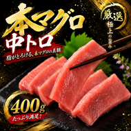 本マグロ 中トロ 400g まぐろ マグロ刺身 マグロ たたき マグロ丼 鮪 マグロ漬け丼の具 冷凍 鮪 マグロ ネギトロ丼 マグロ まぐろ ブロック 赤身 天然 スライス刺し身 さしみ 魚介 海鮮 海鮮丼 おかず 惣菜 冷凍 お取り寄せ 冷凍 高知県 安芸市 おいしい 簡単 時短 海の幸 生鮮