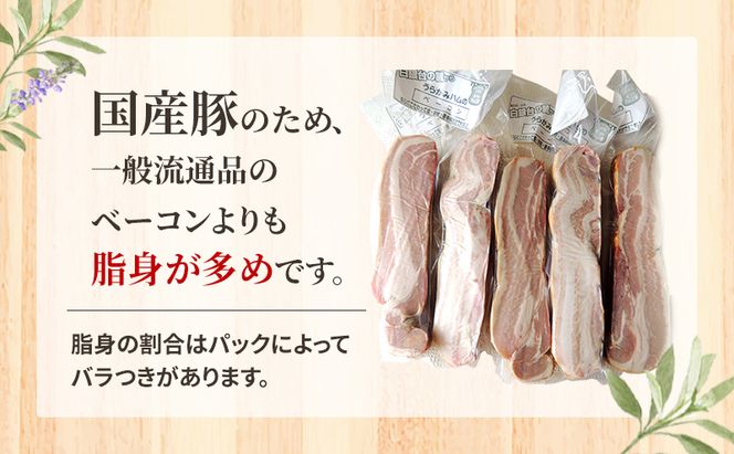 十勝の無添加豚 ベーコンブロック 600g［うらがみミート］ 無塩せき 保存料・結着剤不使用【 ベーコン 肉 豚 国産 惣菜 おつまみ 料理 燻製 加工品 北海道 十勝 幕別 】