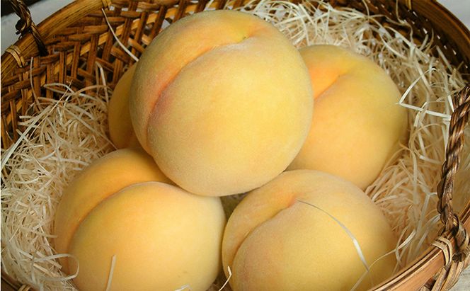 桃 2026年 先行予約 黄金桃 約3.0kg 10～12玉 もも 岡山県 赤磐市産 フルーツ 果物 あかいわファーマーズガーデン 果物類