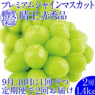 2026年予約受付中  プレミアム シャインマスカット 晴王 2回 定期便２房約1.4kg 人気 岡山県産 赤秀品  種無し 皮ごと食べる みずみずしい  おかやま 果物大国  ハレノフルーツ