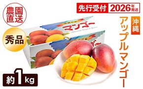 【化粧箱入】【先行受付・2026年発送】ヤマト農園 アップルマンゴー約1kg（秀品）- 先行予約 沖縄県産 産地直送 南国フルーツ 旬の味覚 季節の果物 贈り物 ギフト 沖縄県 八重瀬町
