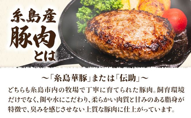 【全12回定期便】【 セット 】A4ランク 糸島 黒毛和牛 ヒレ肉 サイコロステーキ 300g / 博多和牛と糸島華豚入り手作り生ハンバーグ130g × 3個 糸島市 / 糸島ミートデリ工房[ACA298]