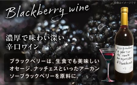 2023年産 糸島産ブルーベリー・ブラックベリーワイン 720ml×2種セット 糸島市 / HYM FARM ワイン ブルーベリー [AHM002] ワイン ブルーベリー ブラックベリー 720ml セット 果実酒 フルーツ