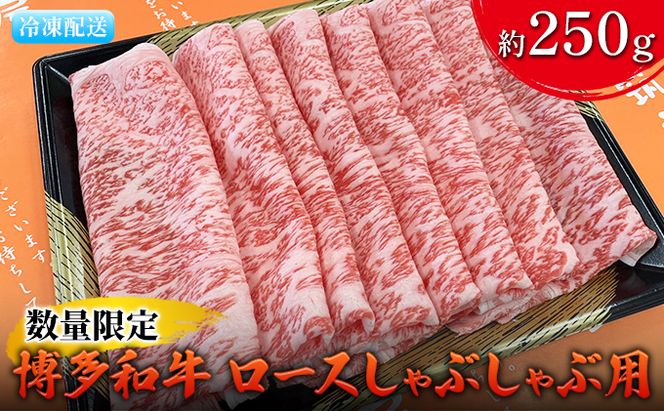 数量限定 牛肉 博多和牛 ロース しゃぶしゃぶ用 約250g 配送不可 離島 お肉 霜降り やわらかい きめ細かい 国産 国産牛 牛しゃぶ 肉料理 食材 食べ物 グルメ 