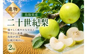 山根農園 二十世紀梨 2kg【2026年8月下旬以降発送】 313726_CY023