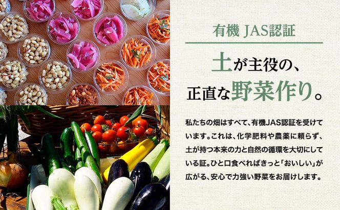 小笠原農園の有機とうもろこし「ミルキースイーツ」16本【北海道十勝幕別】《2026年8月出荷開始先行予約》【 スイートコーン コーン とうもろこし とうきび 黄色 野菜 夏 北海道 幕別町 】 