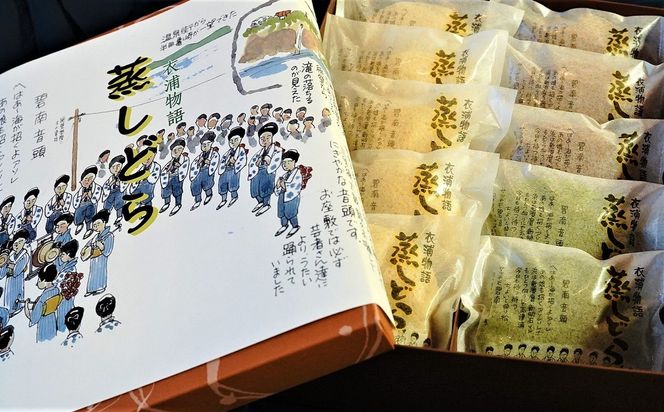 【蒸しどら プレーン 10個入 】和三盆 どら焼き 餡 ふわふわ しっとり食感 H181-004