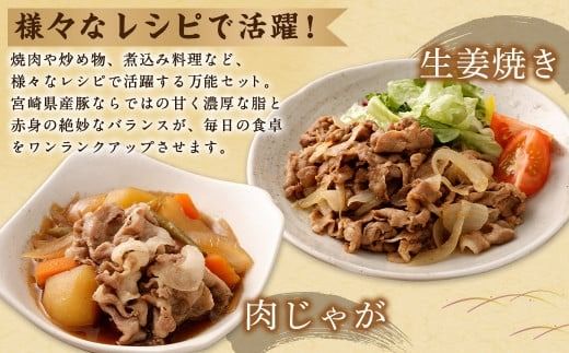 ＜【2回定期便】宮崎県産豚 バラエティセット 計2.7kg＞お申込みの翌月下旬頃に第一回目発送（12月は中旬頃）【c1440_mc】 バラエティセット 4種 合計5.4kg 豚バラ焼肉 豚ロースor肩ローススライス 豚モモスライス 豚小間切れ 豚ロース 肩ロース 豚肉 豚 肉 精肉 料理 宮崎県産 宮崎県 宮崎 みやざき 高鍋町 定期便 冷凍