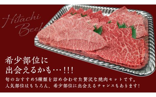 【スピード発送】【常陸牛】焼肉セット 400g (茨城県共通返礼品) 国産 牛肉 肉 お肉 焼き肉 バーベキュー BBQ カメノコ サンカクバラ ミスジ イチボ ササミ ザブトン シンシン カイノミ ボンジョー タテバラ 三角バラ サイコロステーキ サーロイン リブロース ランプ ウワミスジ ヒレ