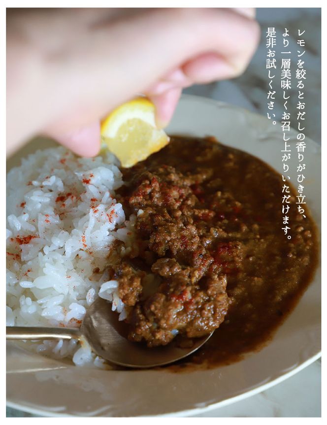 【きょうのおだし】さばだしキーマカレー 2食入［ 京都 削り節屋  おだしのプロ スパイスカレー 人気 おすすめ 和風カレー おいしい ギフト プレゼント お取り寄せ 通販 送料無料 ふるさと納税 ］ 261009_B-KD35