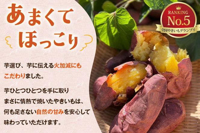 【期間限定発送】 焼き芋 「元気が出るやきいも（フローズン）」紅はるか 500g 冷凍 [うみとやきいもラッキーズ 静岡県 吉田町 22424682] やきいも 焼きいも 焼芋 ヤキイモ 焼イモ おいも 芋 いも べにはるか さつま芋 さつまいも サツマイモ おやつ スイーツ