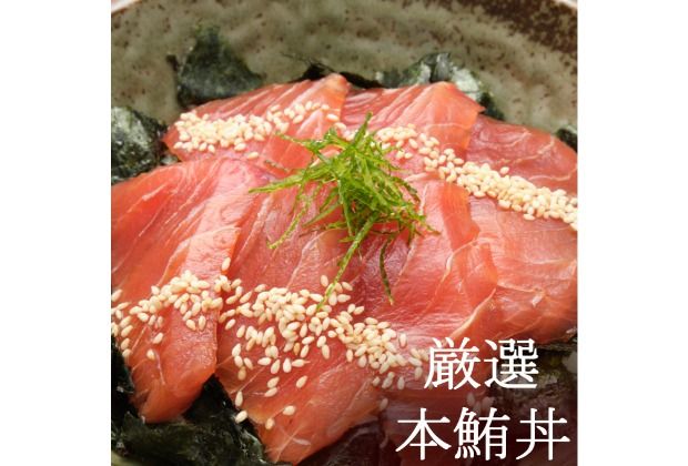 初音のオススメ３回定期便Ｂ＜カツオ・漬け丼・本マグロ＞ 刺身 漬け カツオのたたき 海鮮 魚 惣菜 30000円 送料無料　hn081
