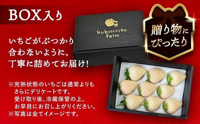 【先行予約】 ＼毎年1月より順次発送／ 白いちご　White Fairy 9粒 愛西市 / くぼ苺農園 【配達不可：北海道・沖縄・離島】[AECJ016]
