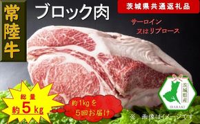 169-26-049　【5か月定期便】【常陸牛】ブロック肉 約1kg【定期便】計5回 総量約5kg（茨城県共通返礼品）【常陸牛　茨城県産　日立市】