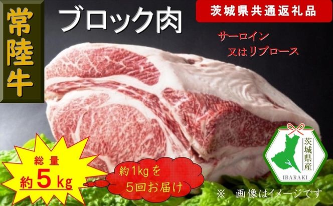 169-26-049 【5か月定期便】【常陸牛】ブロック肉 約1kg【定期便】計5回 総量約5kg（茨城県共通返礼品）【常陸牛　茨城県産　日立市】