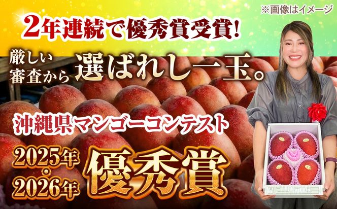 【先行予約】【優秀賞受賞】沖縄県産 完熟マンゴー 贈答用 1kg (2〜3玉) マンゴー 沖縄 果物 フルーツ ギフト 沖縄市 / MAIFARM[BCAN001]