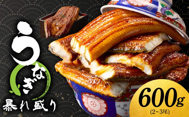 G3615 うなぎ 蒲焼き 暴れ盛り 合計 600g【鰻 真空パック 簡単調理 訳あり サイズ不揃い 人気 惣菜 うな重 うな丼 ひつまぶし にも】