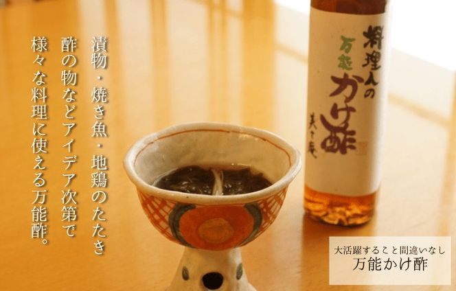 【一週間以内に発送】料理人自慢の調味料セット【道の駅むなかた】_HA1818