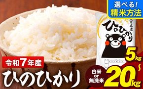 令和7年産 ひのひかり 選べる精米方法 白米 or 無洗米 5kg 10kg 15kg 20kg 《7-14日以内に出荷予定(土日祝除く)》  熊本県産 米 精米 ひの 熊本県 大津町---oz_hn7_wx_12500_5kg_h---