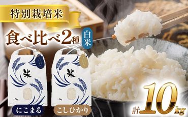 令和6年産　愛知県産　コシヒカリ・にこまる　白米　各5kg　特別栽培米　お米　ご飯　愛西市／戸典オペレーター[AECT006]