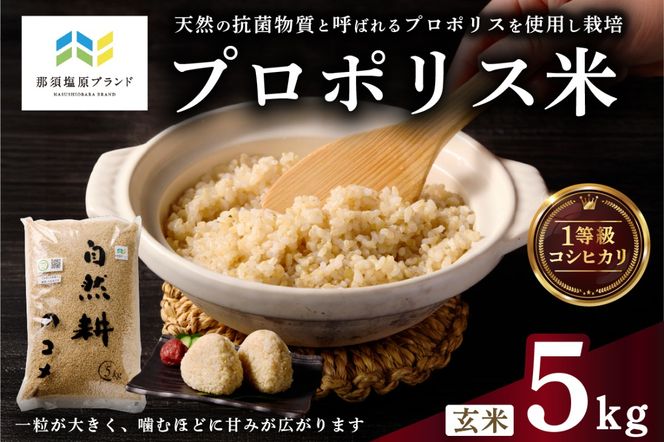 ns063-001 【那須塩原ブランド認定品】プロポリス米(1等級コシヒカリ 玄米5kg)  【令和7年度産米】