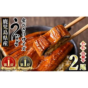 【0074336a】＜食べきりサイズ！＞東串良町のうなぎ蒲焼(無頭)(計2尾・計約200g・タレ、山椒付) うなぎ 蒲焼長焼 ウナギ 鰻 蒲焼き 国産うなぎ 国産 九州産 鹿児島 鹿児島県産 人気 ランキング 高級 家庭用 おすすめ たれ さんしょう 【アクアおおすみ】