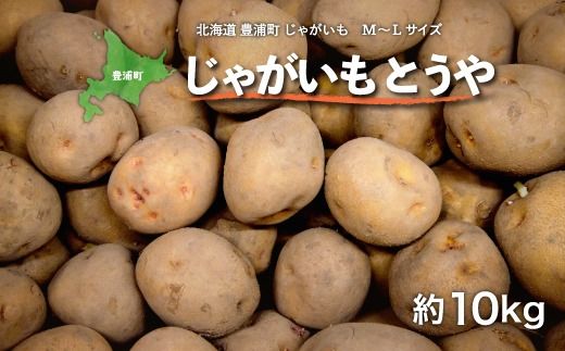 北海道 豊浦町 じゃがいも M～Lサイズ とうや 約10kg TYUL007