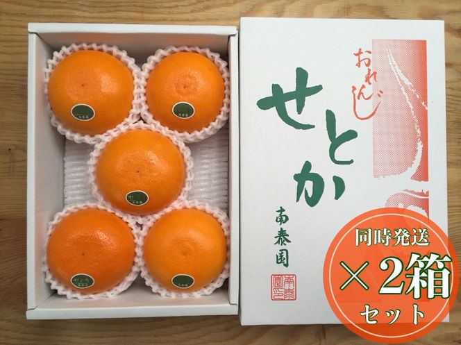 ［2箱セット］ハーフ 化粧箱 柑橘の大トロ ハウス せとか 厳選 5玉入 × 2箱 南泰園	BS151