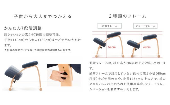 椅子 バランスイージー カバーなし 選べる フレーム カラー 姿勢矯正 インテリア 家具