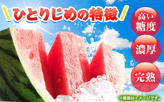 紀州和歌山産 小玉スイカ 「ひとりじめ」 1玉 魚鶴商店《2027年6月上旬-6月下旬頃出荷》 和歌山県 日高川町 スイカ スイーツ フルーツ---wshg_uot234_6j6g_26_10000_1t---