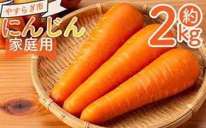 【2025年11月以降発送】にんじん ２ｋｇ 家庭用 yr-0081