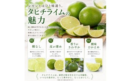 訳あり タヒチライム 約1.6kg ライム サイズおまかせ 国産 種なし 柑橘類 かんきつ類 防腐剤不使用 ノーワックス 新鮮 冷蔵 家庭用 果物 くだもの フルーツ 秋 旬 ジュース カクテル ジンライム 料理 アレンジ 爽やか 芸西村 高知県産