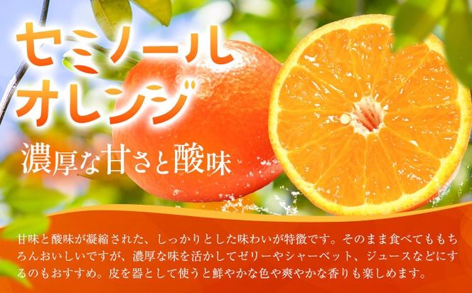 オレンジ 訳あり ご家庭用 セミノールオレンジ 約5kg 株式会社魚鶴商店《5月上旬-5月下旬頃出荷予定》 和歌山県 日高川町 柑橘 フルーツ---wshg_uot232_5j5g_26_12000_5kg---